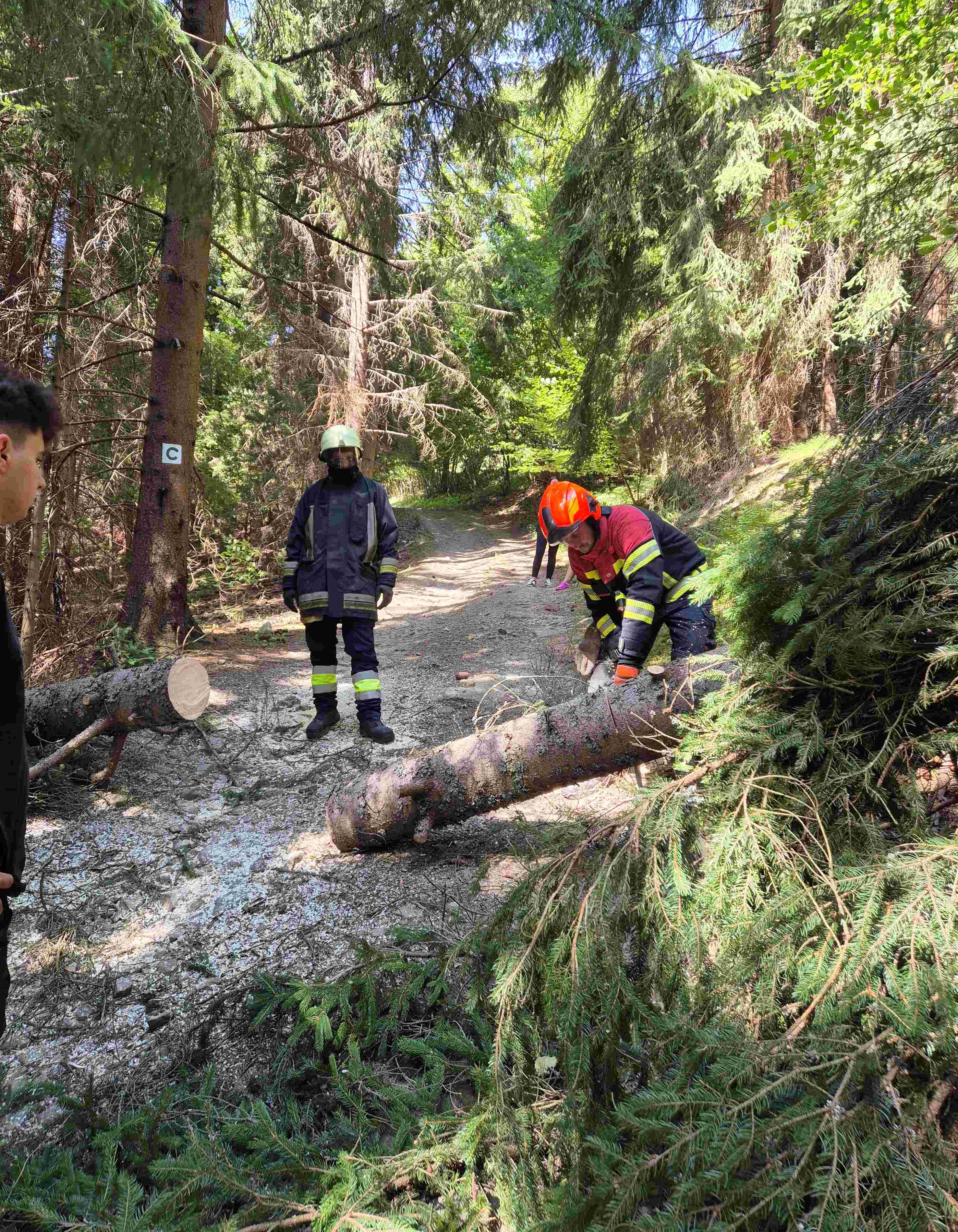 Technický zásah / spadnutý strom